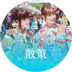 散策